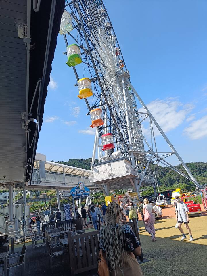 ferris wheel