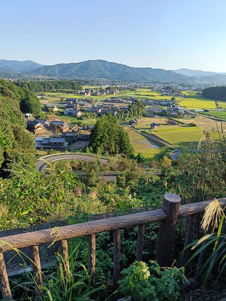 shizuoka landscape field