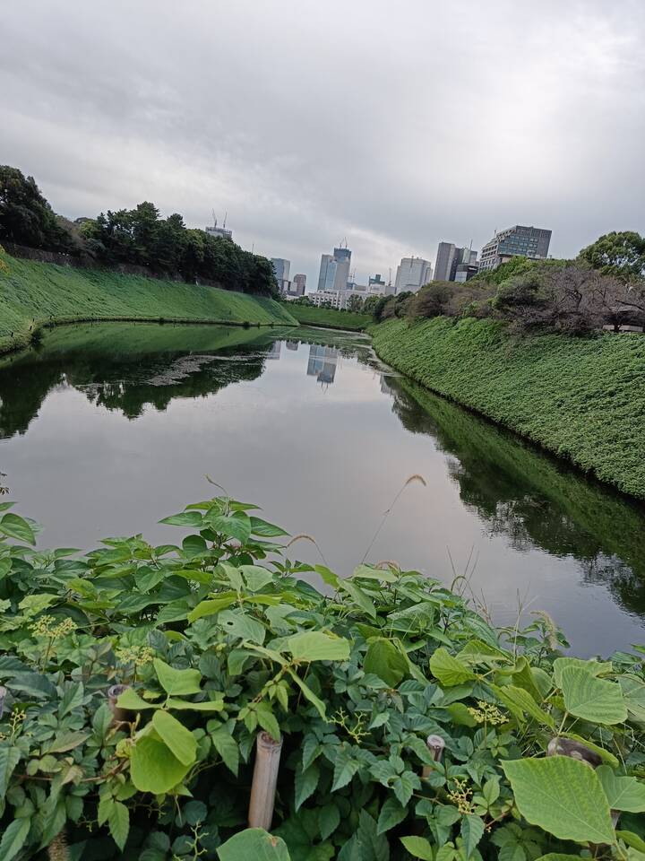 imperial gardens