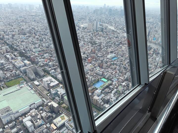 skytree view