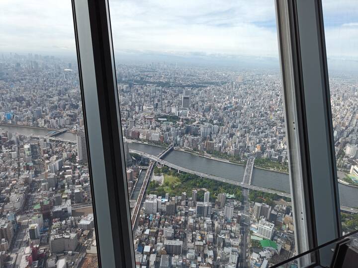 skytree view