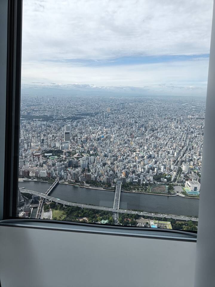 skytree view