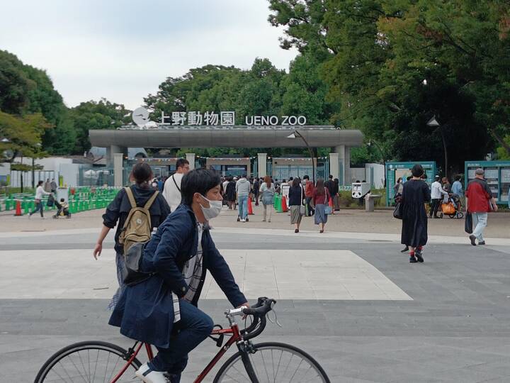 ueno zoo